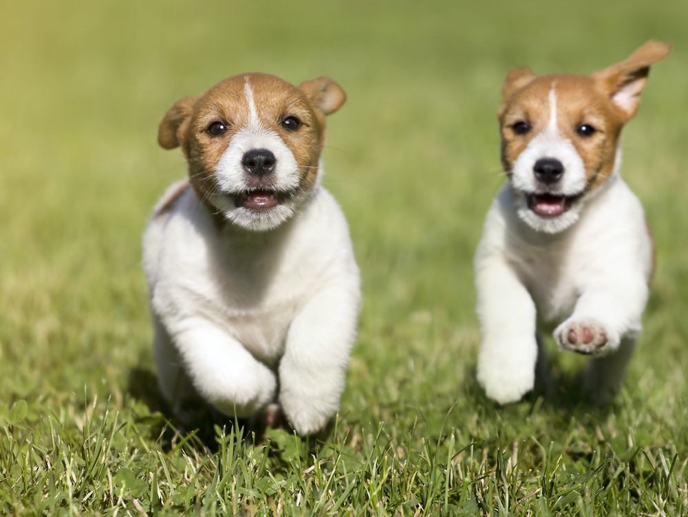 Finding Our Replacements